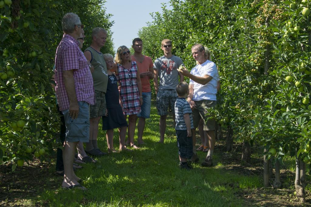 Oord Zonnehoeve Farm stay Valkenburg aan de Geul